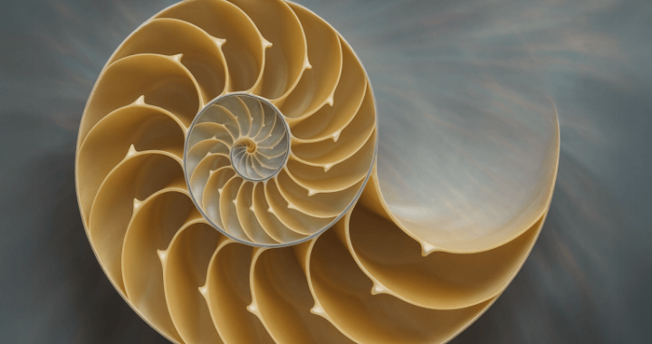 Fibonacci Retracement: A Trader’s Compass in the Bitcoin Market