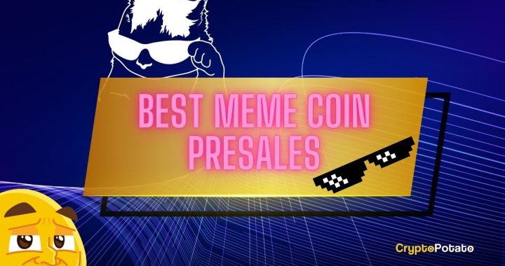 5 Best Meme Coin Presales to Watch in May 2025