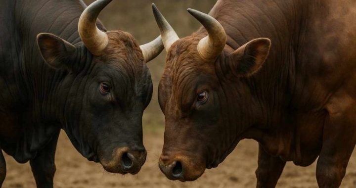 Peter Brandt Ignites XRP or SOL Clash With Bold $100K Trading Scenario