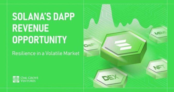 Solana’s dApp Revenue Opportunity: Resilience in a Volatile Market
