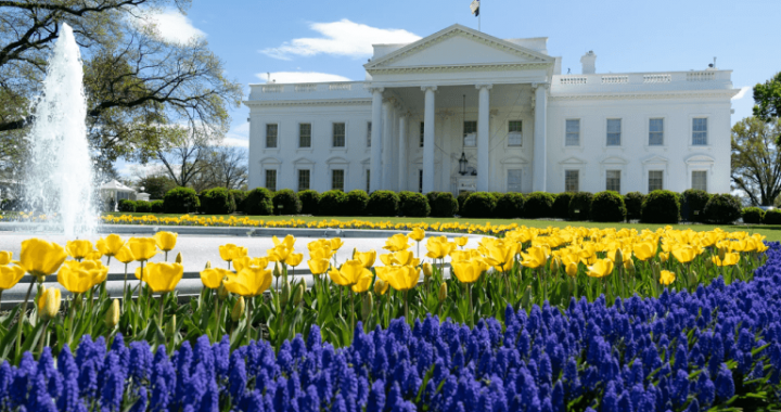 Crypto.com Expands US Presence With New DC Office Amid Trump’s Regulatory Shifts