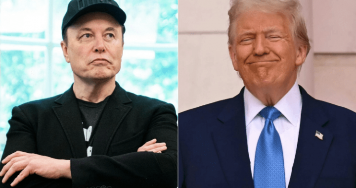 Musk Exits DOGE, Clashes With Trump—Dogecoin Gets Caught In The Crossfire