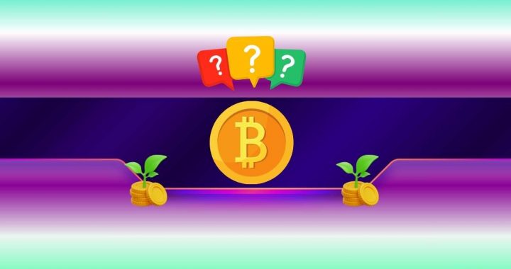 How Much You Should Invest in Bitcoin (BTC)? Veteran Trader Peter Brandt Weighs in