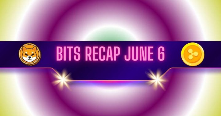 Major Shiba Inu Warning, Ripple’s Latest Achievement, and More: Bits Recap June 6