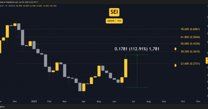 Why is the SEI Price Up Today
