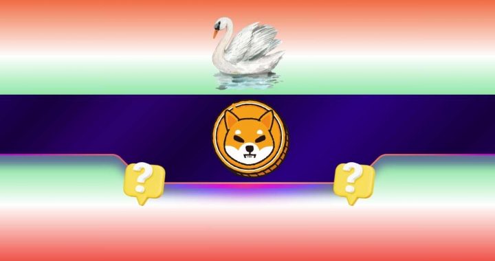 Are These the Meme Coins to Hold When a White Swan Event Occurs?