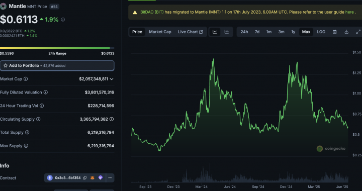 MANTLE Crypto Blockchain Bank Goes Live: What Does It Mean For MNT Price in June?