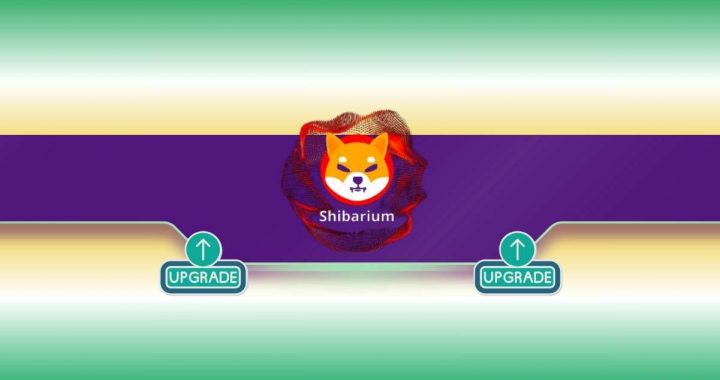 Major Announcement Concerning All Shiba Inu (SHIB) Users: Details