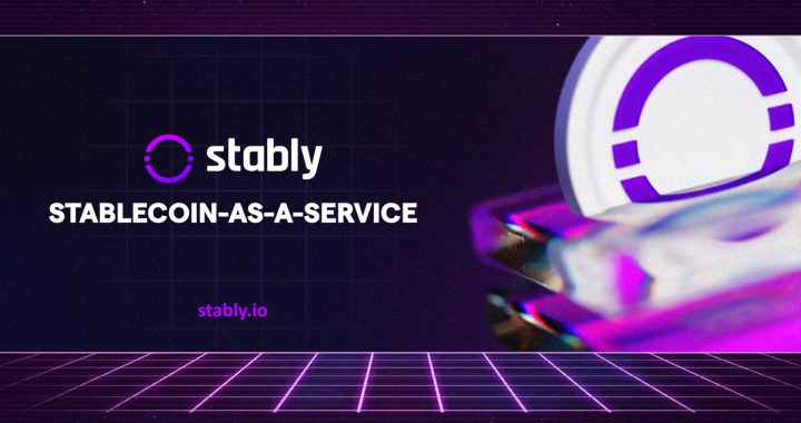 Stably Introduces Stablecoin Development & Advisory Services for Institutions & Enterprises