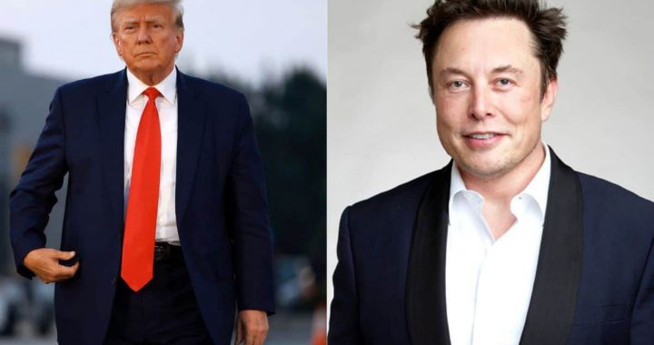 Crypto Markets See Red as Trump-Musk Bromance Ends in Flames  