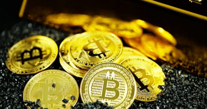 Bitcoin Gold Rush 2.0? Treasuries Swell With 60 New Players