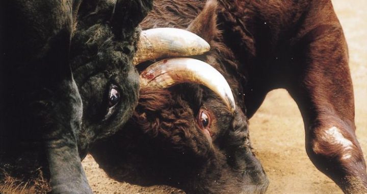 ‘Make No Mistake’: XRP Is Bitcoin’s Biggest Rival, Says Pundit