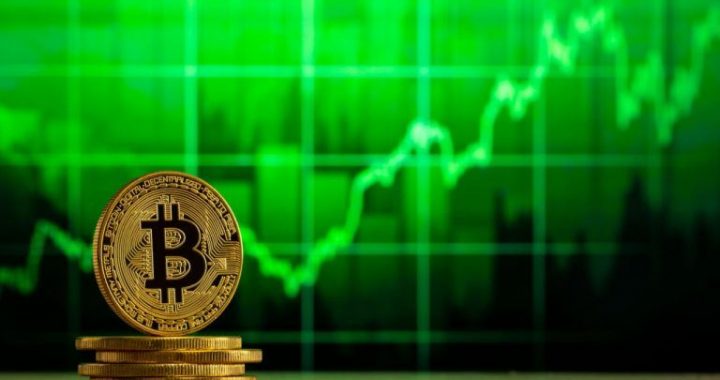 Bitcoin ETFs Post $216 Million Net Inflow as Blackrock Offsets Outflows From Fidelity and Ark 21shares