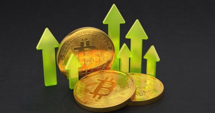 Bitcoin ETFs Record 8th Straight Inflow Day With $390 Million Surge