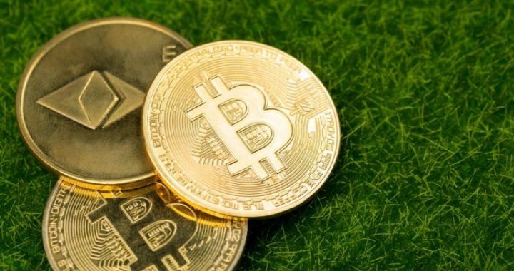 Bitcoin ETFs Roar Back After Three-Day Dip as Ether ETFs Extend Inflow Streak to Twelfth Day