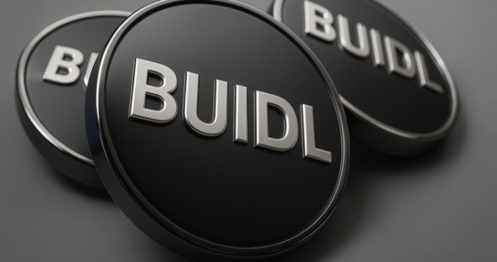 Blackrock’s Tokenized Money Market Fund BUIDL Tops $10M in May Dividends