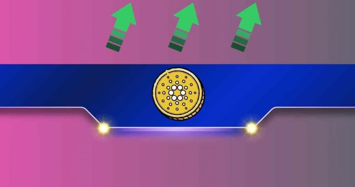 Major Cardano (ADA) Community Announcement: Details