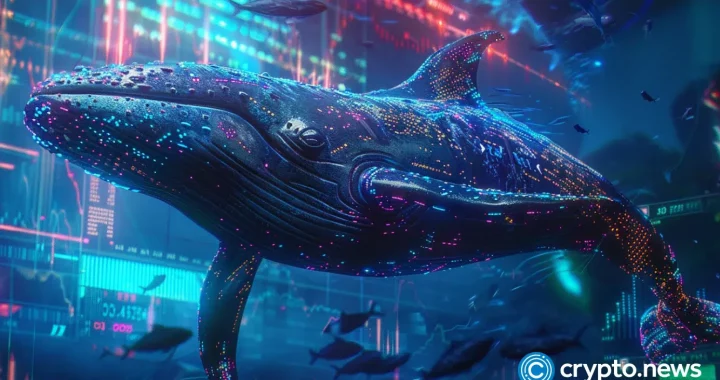 Mask Network price pumps then dumps as whales sell