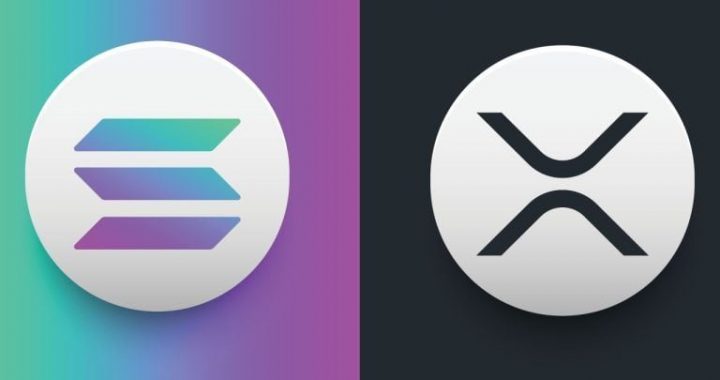 Everything Blockchain Commits $10M to Multi-Token Crypto Treasury Including SOL, XRP, SUI, TAO and HYPE