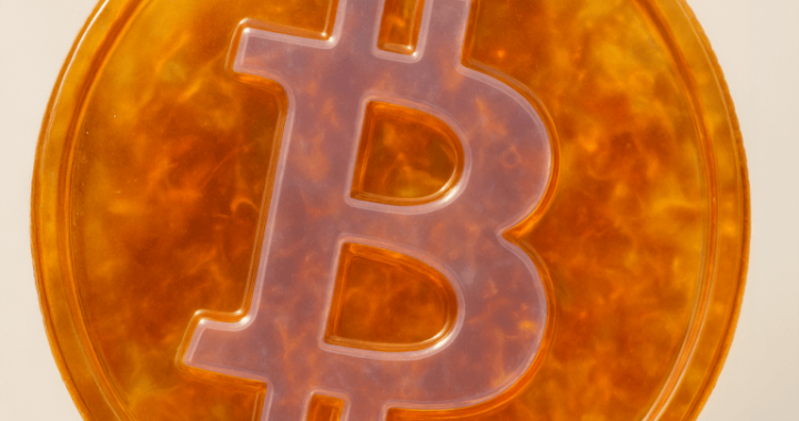 Bitcoin Price Watch: Bulls Defend Key Support as Momentum Cools