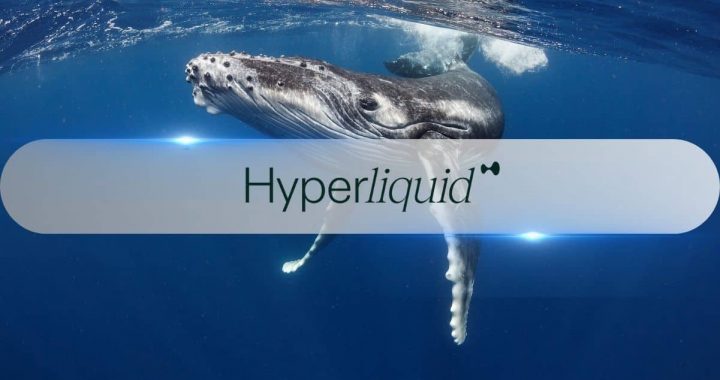 Hyperliquid’s Elite Traders Rack Up Massive Profits Amid HYPE Token Surge
