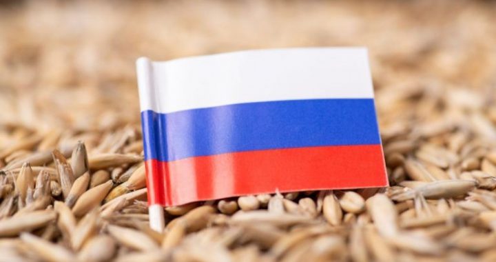 Russia Considers Crypto for Settling Grain Exports