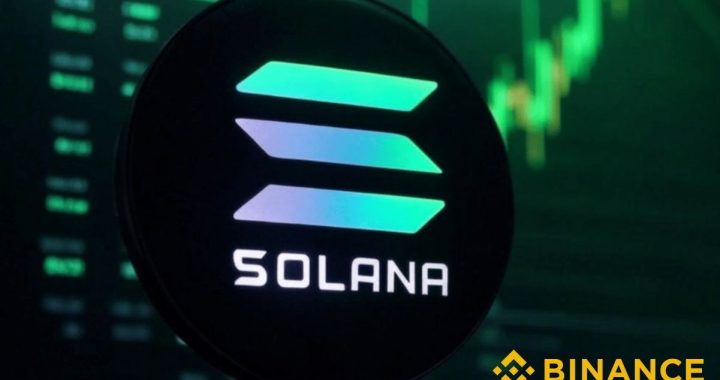Solana’s Evolution from Little Beginnings to Stardom