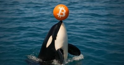 Galaxy Digital moves $447M in Bitcoin to exchanges, sparking sell-off speculation