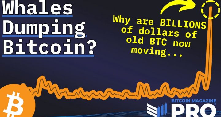 Are Bitcoin Whales Dumping Their BTC?