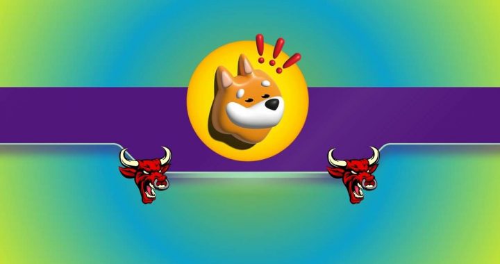 BONK Holds Strong Above Key Level—$0.00003 Next?