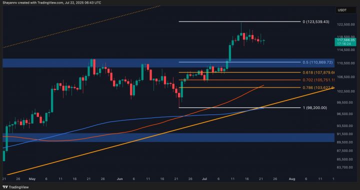 Bitcoin Price Analysis: Key Factors Point to a BTC Correction Ahead
