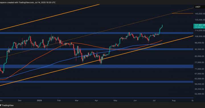 Bitcoin Price Analysis: BTC Nearing Exhaustion or Gearing Up for $130K Next?