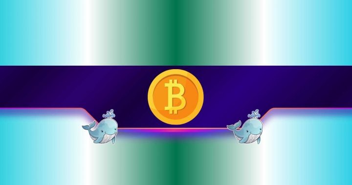 Bitcoin Whales Scoop 248K BTC This Month as Bulls Eye $200K