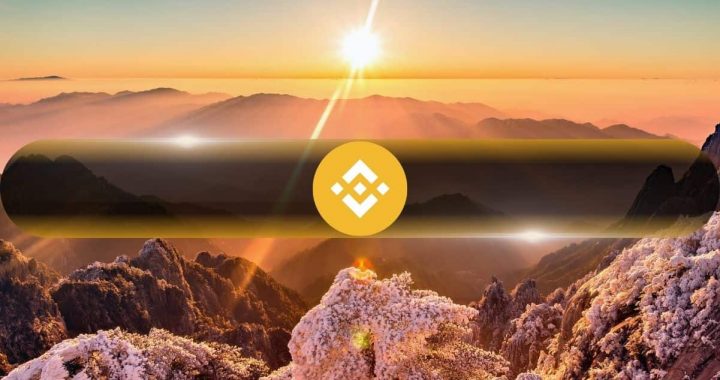 Binance Coin (BNB) Hits $800 in New All-Time High