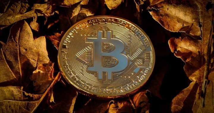 Elon Musk’s SpaceX Moves Bitcoin Holdings For The First Time In 3 Years, Here’s Where It Went