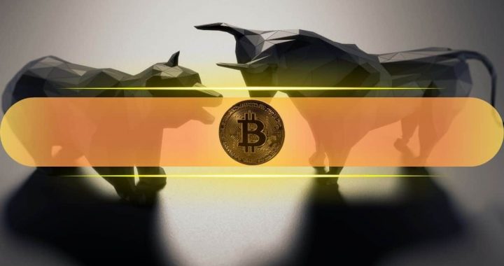 Bulls vs. Bears: Institutions Pile Up BTC But Price Doesn’t go up, Why?
