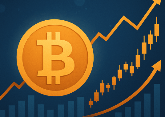The Bitcoin Liquidity Supercycle Has Just Begun, Says Hedge Fund CEO