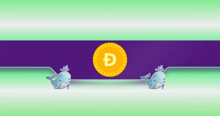 Whale Alert: 130M DOGE Scooped Up as Price Slides 15%