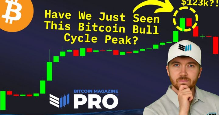 Have We Just Seen the Bitcoin Cycle Peak?