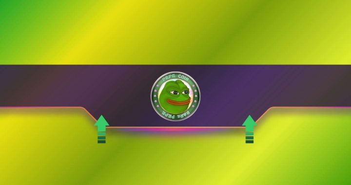 Whale Buys 227B PEPE Ahead of Massive Double-Digit Price Pump in 24 Hours