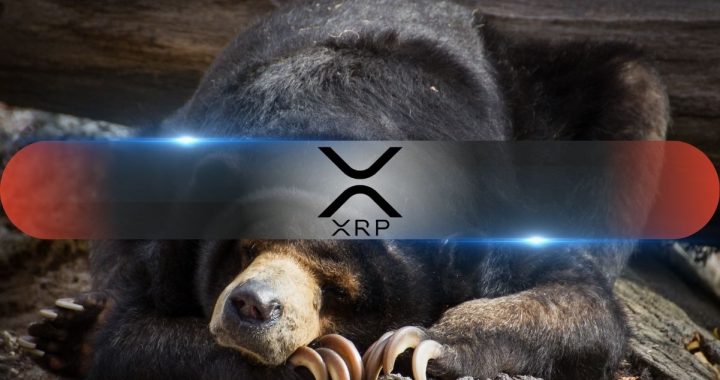 From $27 to $0.80? Analyst Unveils XRP’s Potential Bear Market Scenario