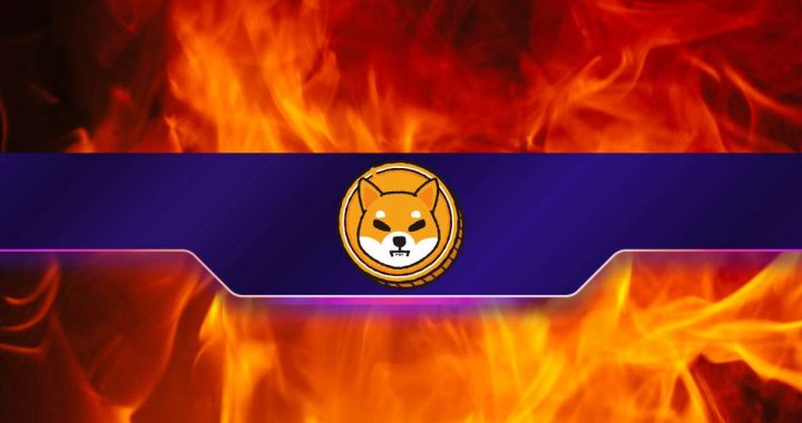 Shiba Inu (SHIB) Burn Rate Explodes by 2,000% Weekly: Further Price Rally Incoming?