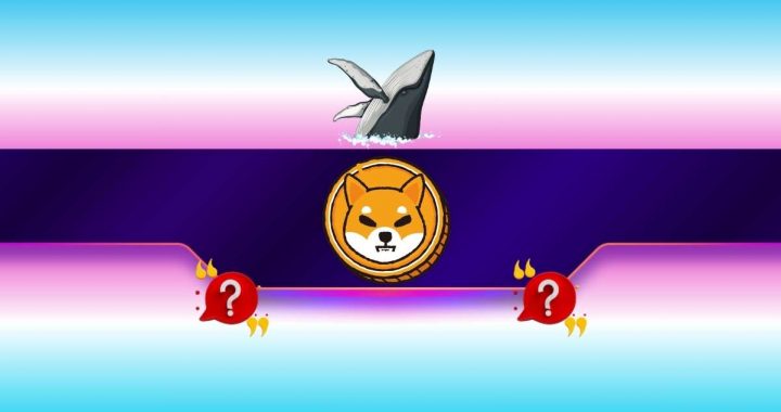 Shiba Inu (SHIB) Outpaces Ethereum (ETH) and Pepe (PEPE): But Not in the Way You Might Think