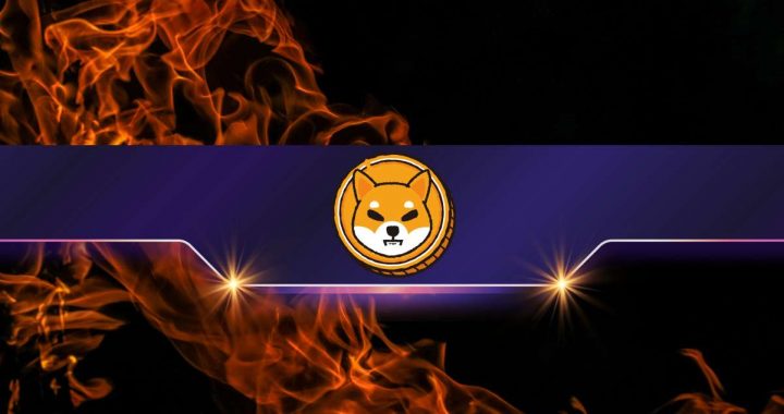 Shiba Inu Burn Rate Skyrockets by Almost 17,000%, Will SHIB’s Price React?