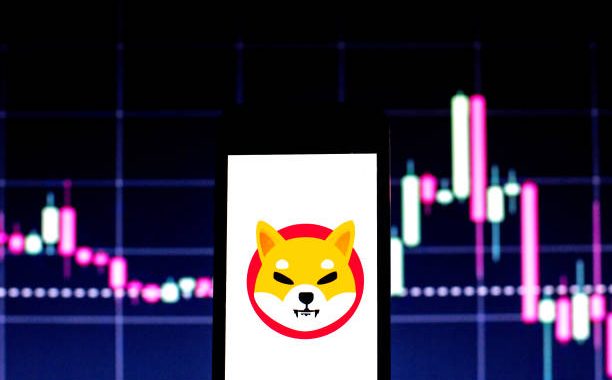 Shiba Inu Exchange Reserves Hit Lowest Level Since 2023 — Why A Price Surge Could Follow
