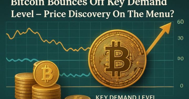 Bitcoin Bounces Off Key Demand Level – Price Discovery On The Menu?