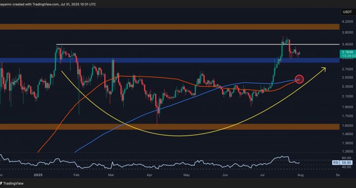 Ripple Price Analysis: XRP Must Maintain This Level to Avoid a Major Correction