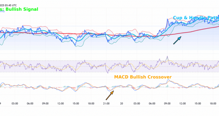 Is XRP the New Bitcoin? Ripple Ledger Surges as Price Hits Multi-Year High