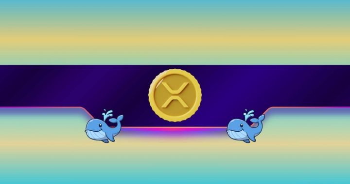 Ripple Whales Keep Buying: When Will XRP’s Price Respond?