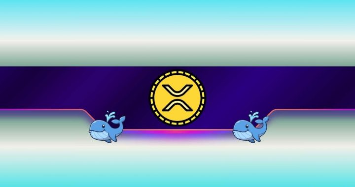 Massive Ripple Whale Accumulation Fuels XRP Surge Toward New ATHs